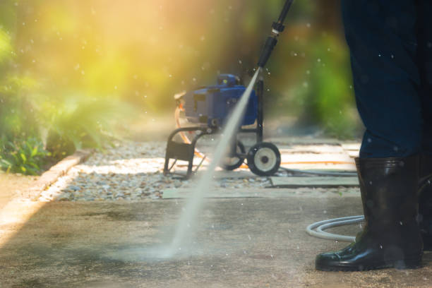 Animal Enclosure Cleaning in Arma, KS